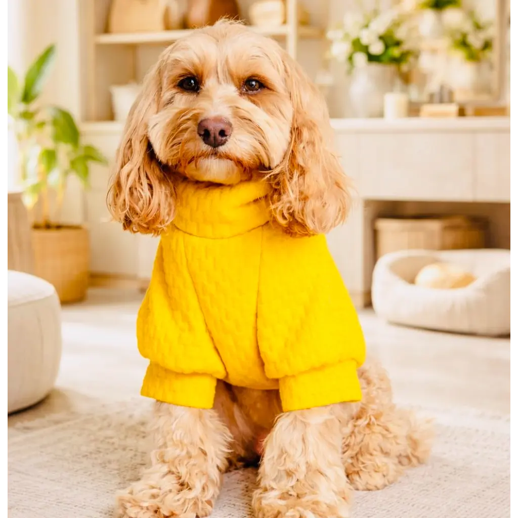 Top per cane in tessuto matelassè | DIXY'S DixyStore