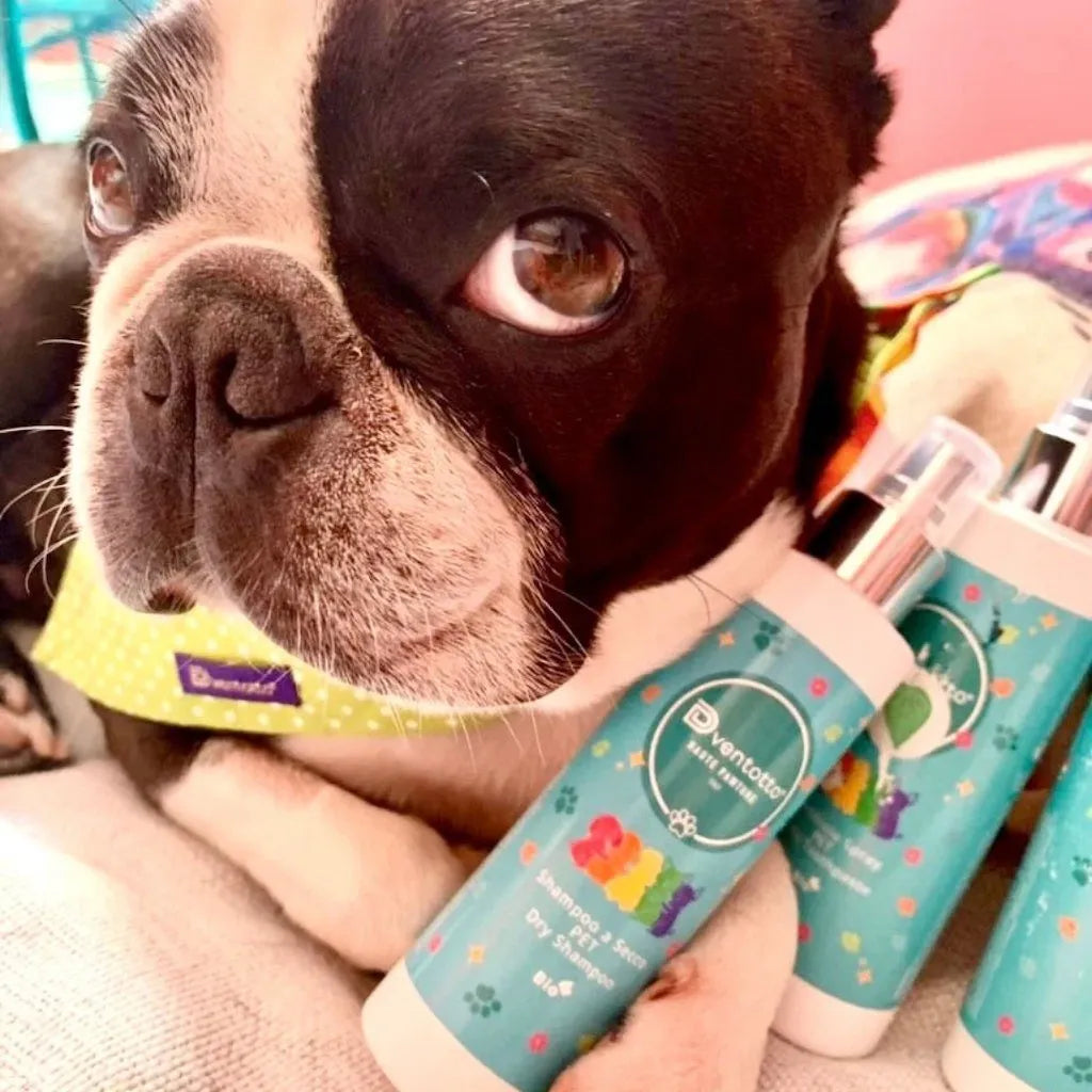 Kit Essenziali da Viaggio per Cani | Dventotto® DixyStore