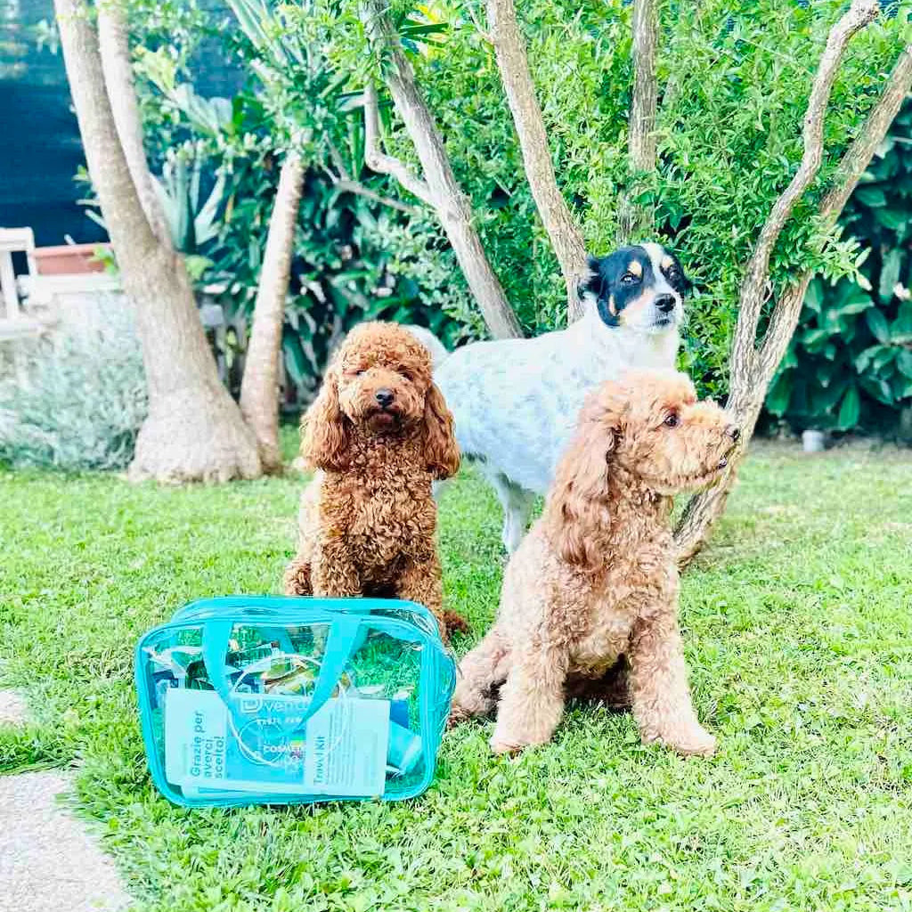 Kit Essenziali da Viaggio per Cani | Dventotto® DixyStore