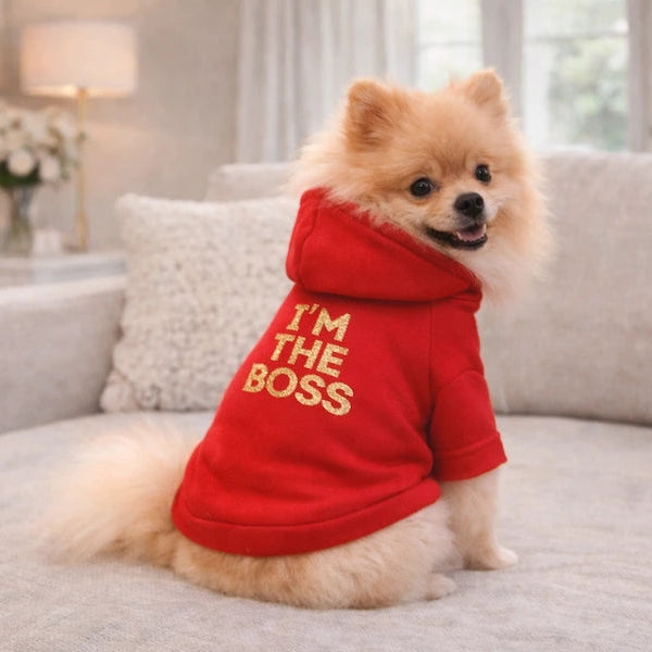 Felpa Cane con Cappuccio “I’m the Boss” | DIXY'S DixyStore