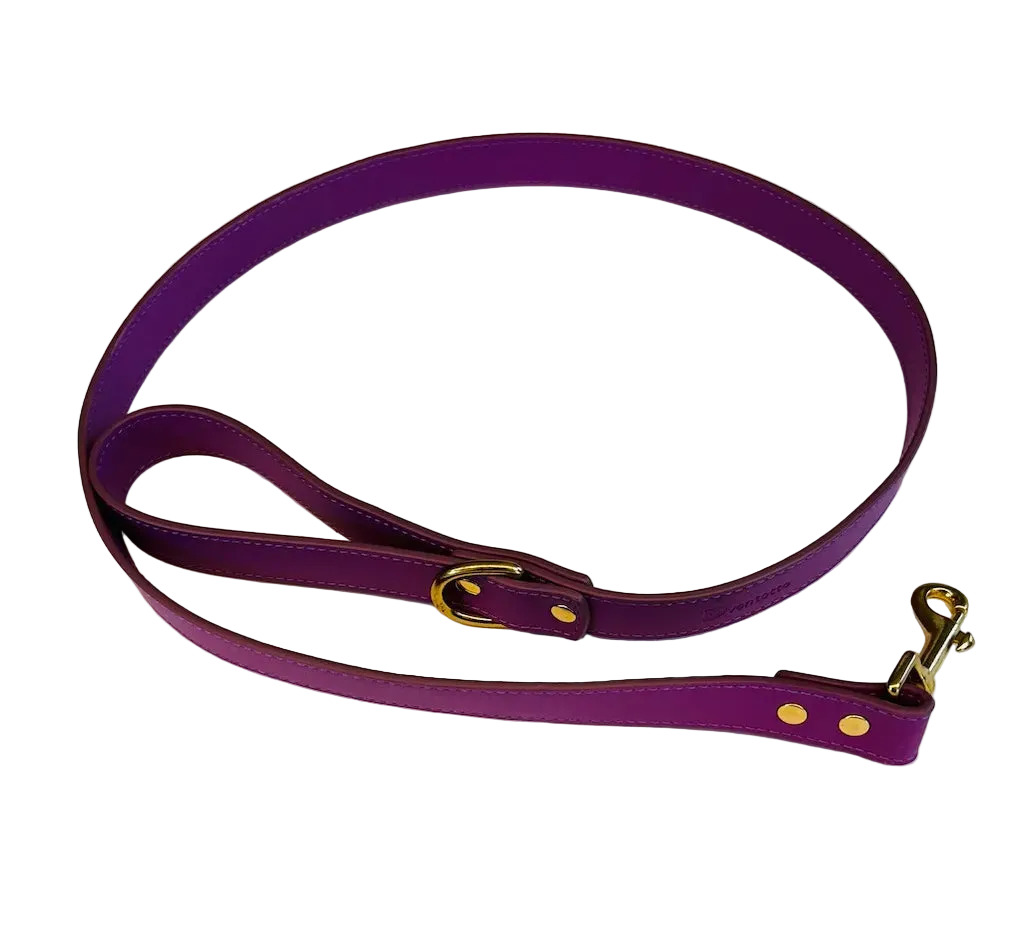Set Collare e Guinzaglio Camilla in Pelle Italiana per Levrieri | Dventotto® DixyStore