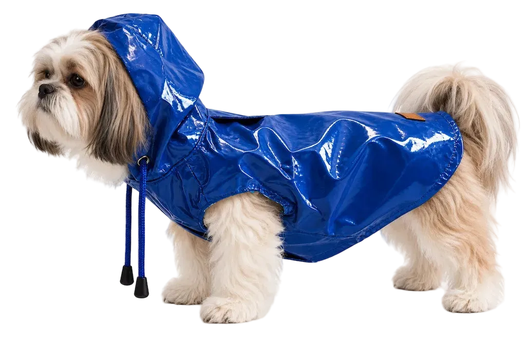 Impermeabile per Cane Croci — Rosso e Blue | DIXY'S DixyStore