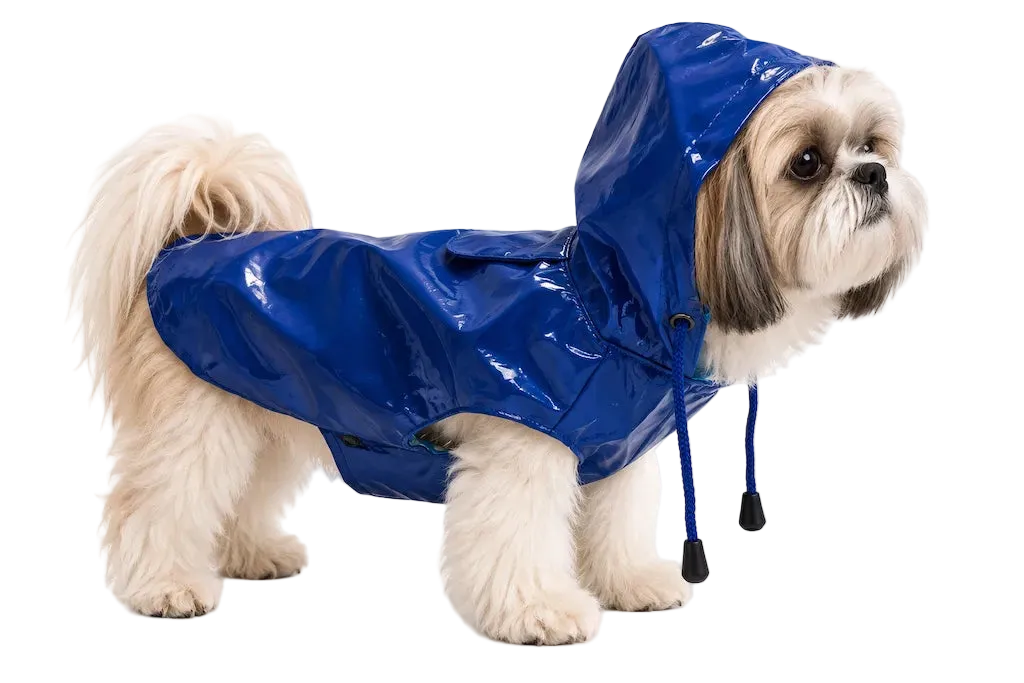 Impermeabile per Cane Croci — Rosso e Blue | DIXY'S DixyStore