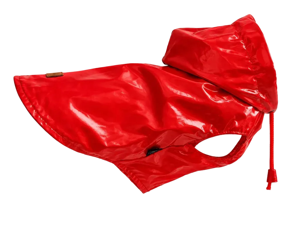 Impermeabile per Cane Croci — Rosso e Blue | DIXY'S DixyStore