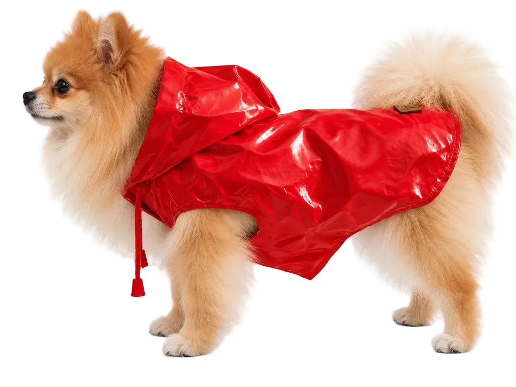 Impermeabile per Cane Croci — Rosso e Blue | DIXY'S DixyStore
