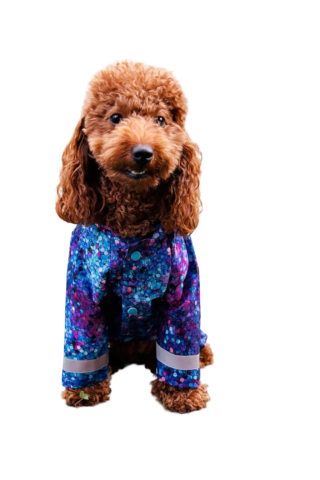 Impermeabile tuta per cane Bubbles – leggero e traspirante | Made in Italy DixyStore