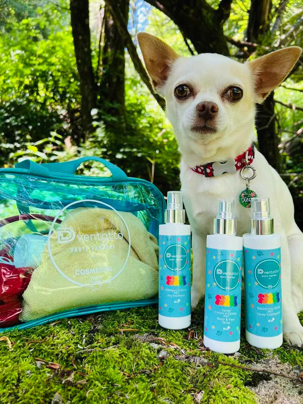 Kit Essenziali da Viaggio per Cani | Dventotto® DixyStore