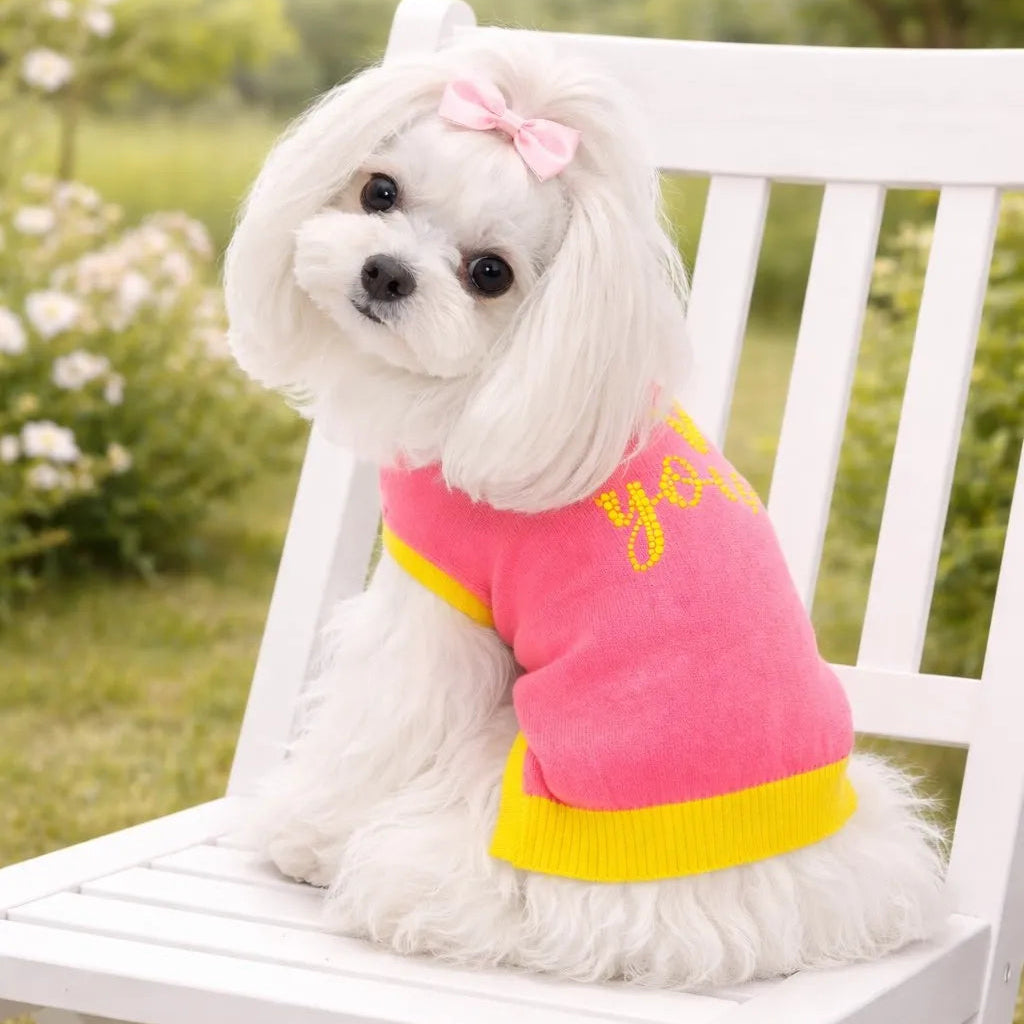 Pullover per Cane Love You in Cotone DixyStore