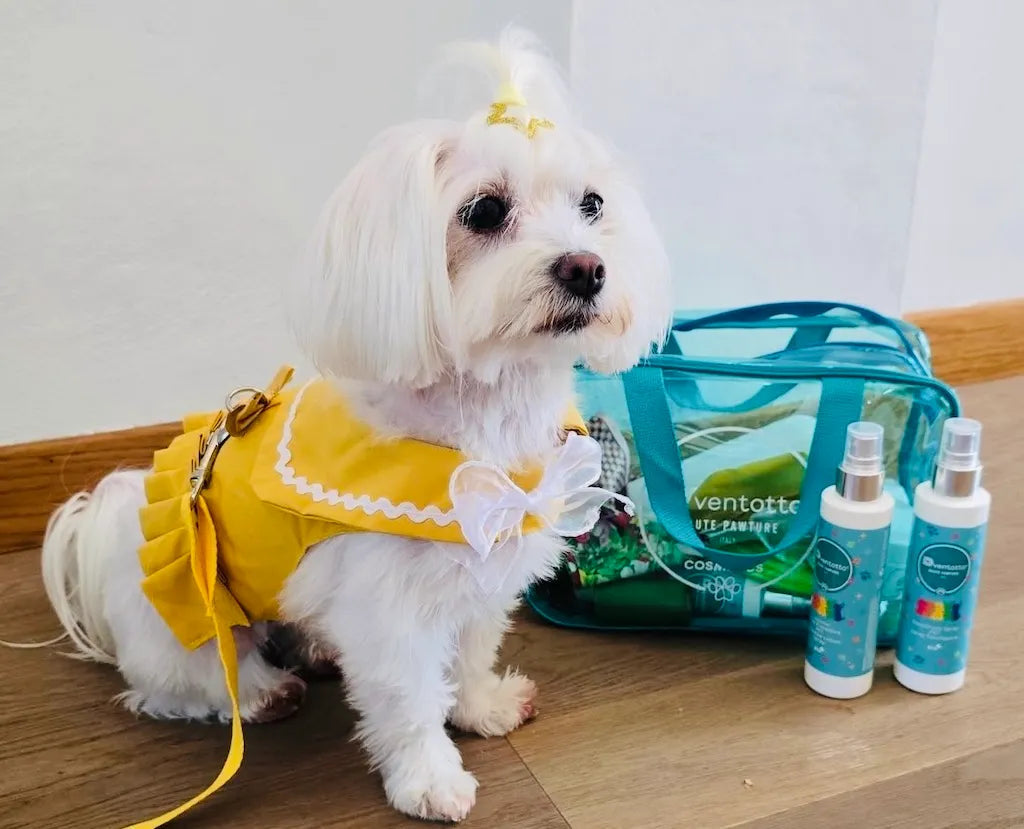 Kit Essenziali da Viaggio per Cani | Dventotto® DixyStore