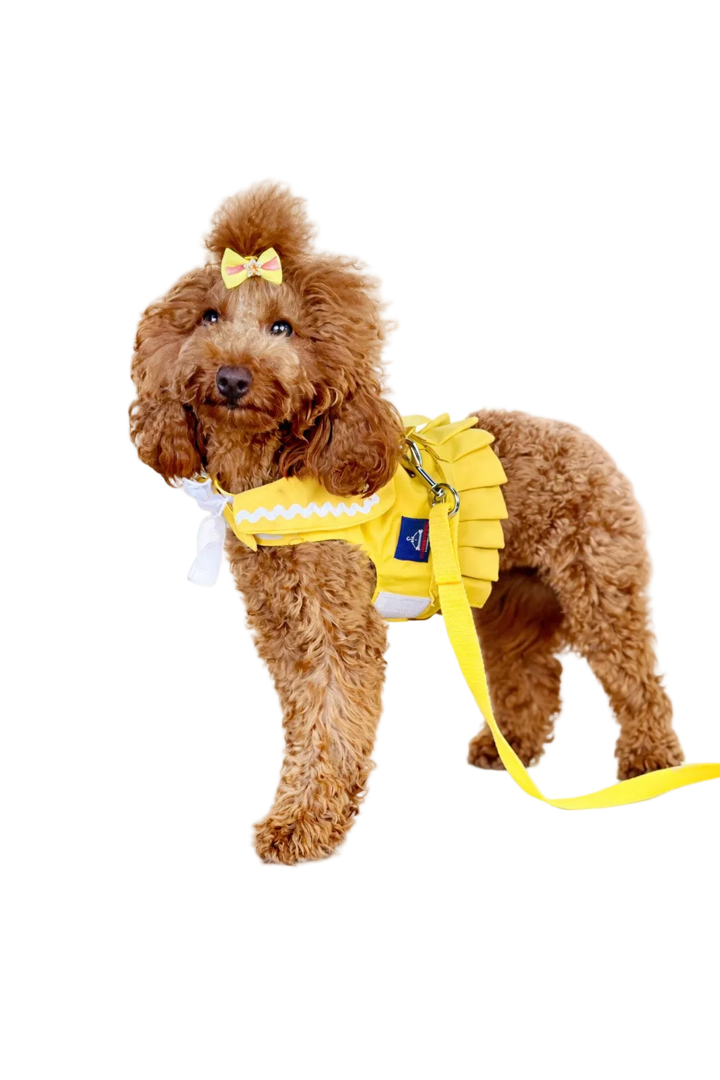 Vestito pettorina per cane stile marinaio | DIXY'S DixyStore