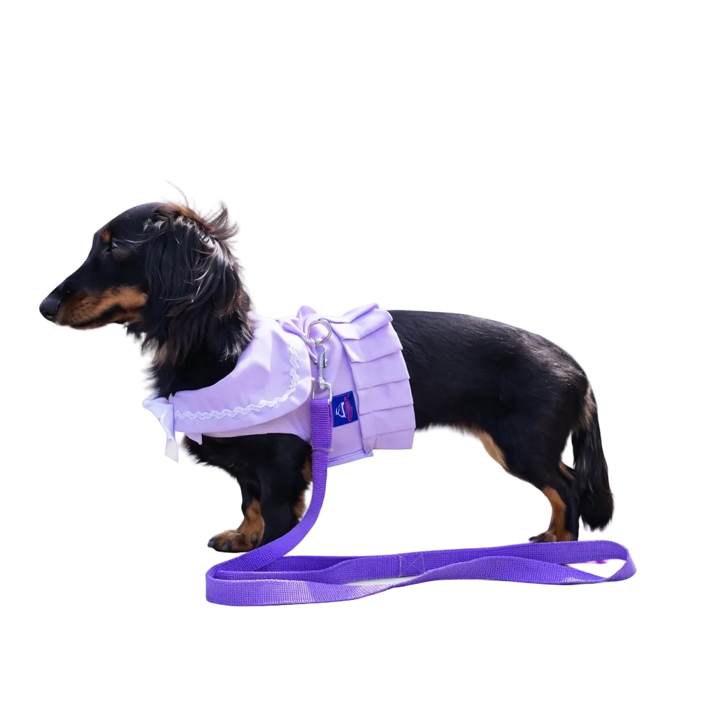 Vestito pettorina per cane stile marinaio | DIXY'S DixyStore
