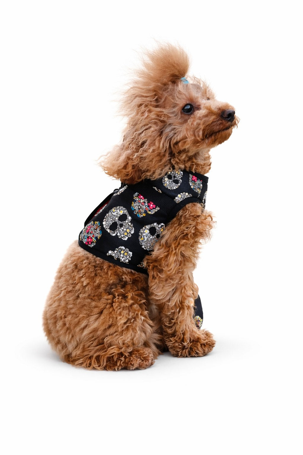 Gilet Impermeabile per Cane Rebel con fodera Faux Fur l Dventotto® DixyStore