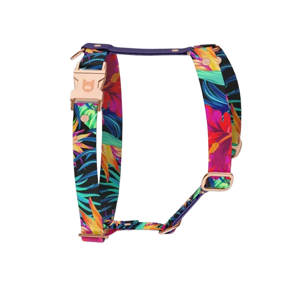 Pettorina H Garden per cane - regolabile e resistente | DIXY'S DixyStore