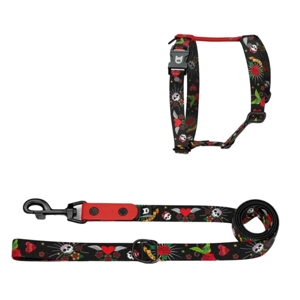 Set Pettorina ad H e Guinzaglio Rascal per Cane | DIXY'S DixyStore