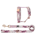 Set Pettorina ad H e Guinzaglio Spring per Cane | DIXY'S DixyStore