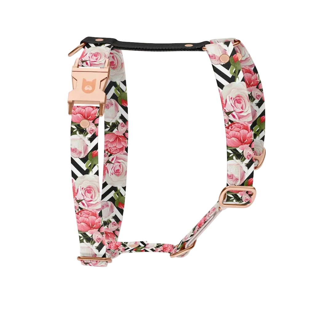 Set Pettorina ad H e Guinzaglio Rose per Cane | DIXY'S DixyStore