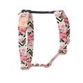 Set Pettorina ad H e Guinzaglio Rose per Cane | DIXY'S DixyStore
