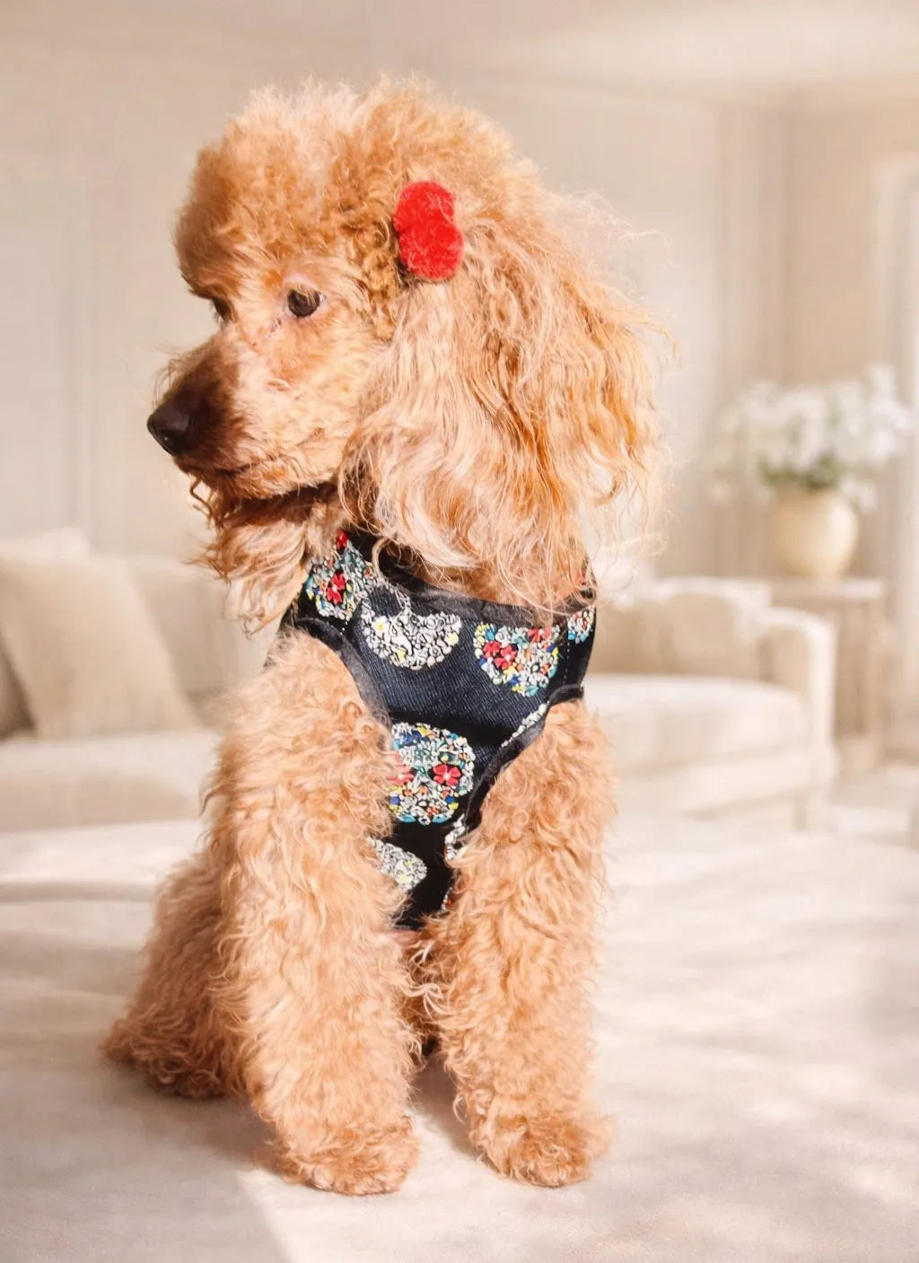 Gilet Impermeabile per Cane Rebel con fodera Faux Fur l Dventotto® DixyStore