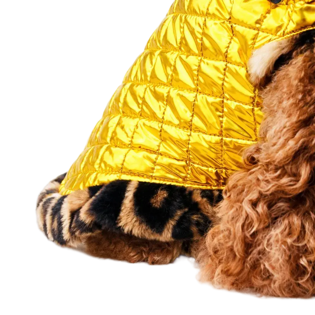Piumino per Cane Invernale Mod. Gold - Made in Italy | Dixystore DixyStore