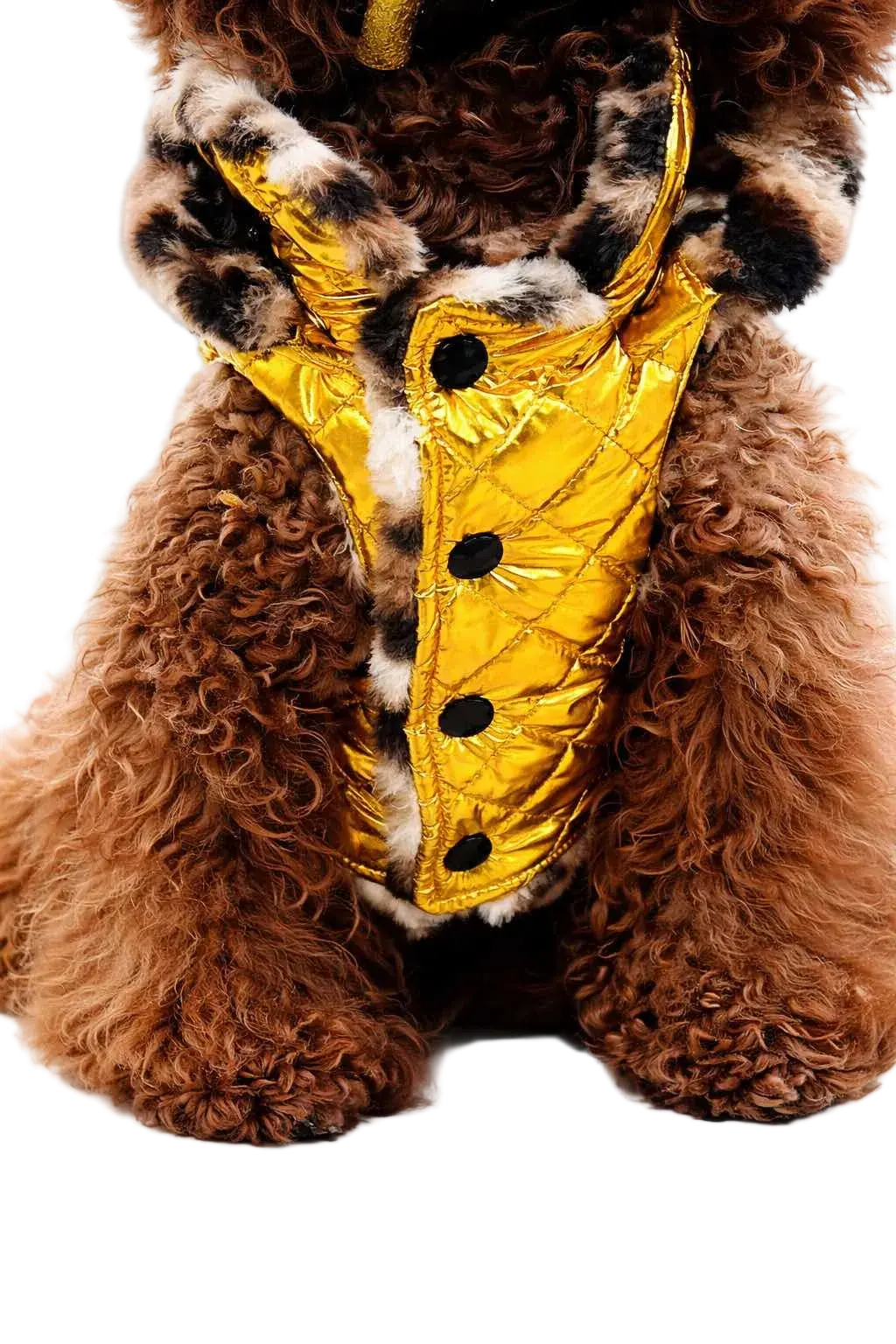 Piumino per Cane Invernale Mod. Gold - Made in Italy | Dixystore DixyStore