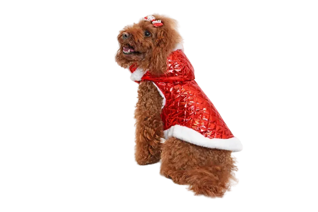 Piumino per Cane Invernale - Made in Italy Mod. Ruby | Dventotto® DixyStore