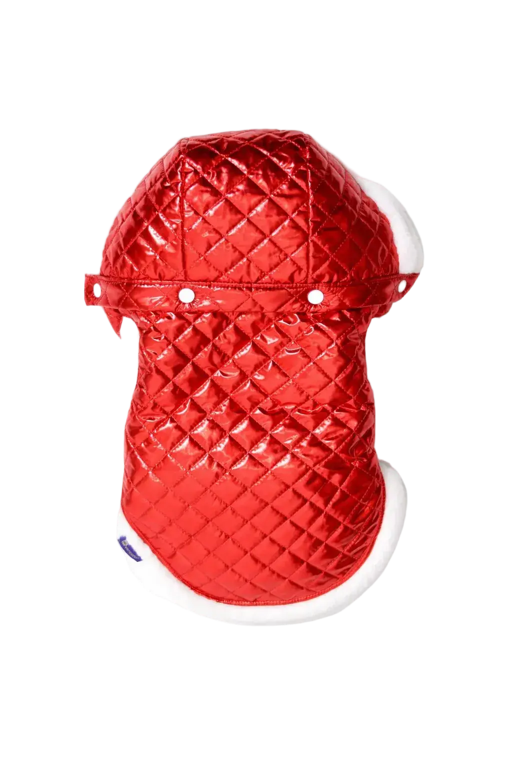 Piumino per Cane Invernale - Made in Italy Mod. Ruby | Dventotto® DixyStore