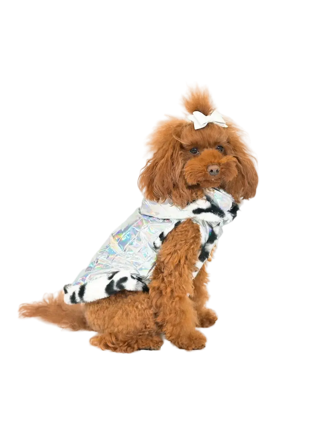 Piumino per Cane Invernale Made In Italy Mod. Techno | Dventotto® DixyStore