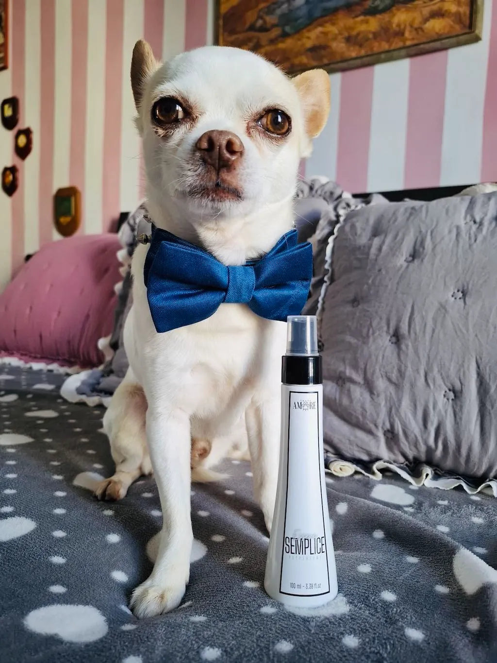 Profumo Semplice per Cane – Note Fiorite con Accenti Agrumati | Prodotto Italiano DixyStore