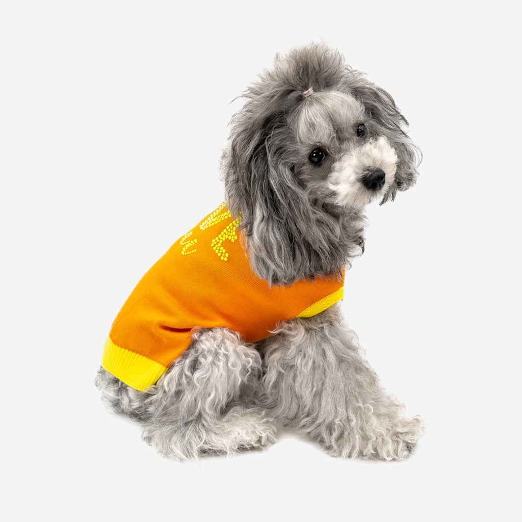Pullover per Cane Love You in Cotone DixyStore