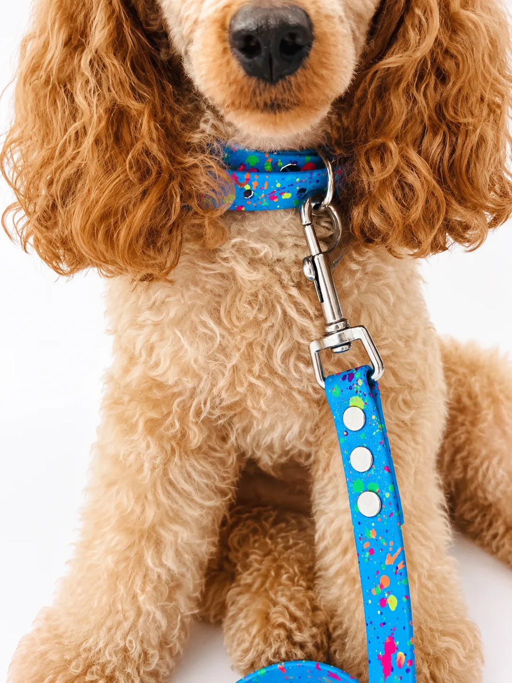 Set Collare e Guinzaglio Blue Splash per Cane in BioThane® Impermeabile e Regolabile DixyStore