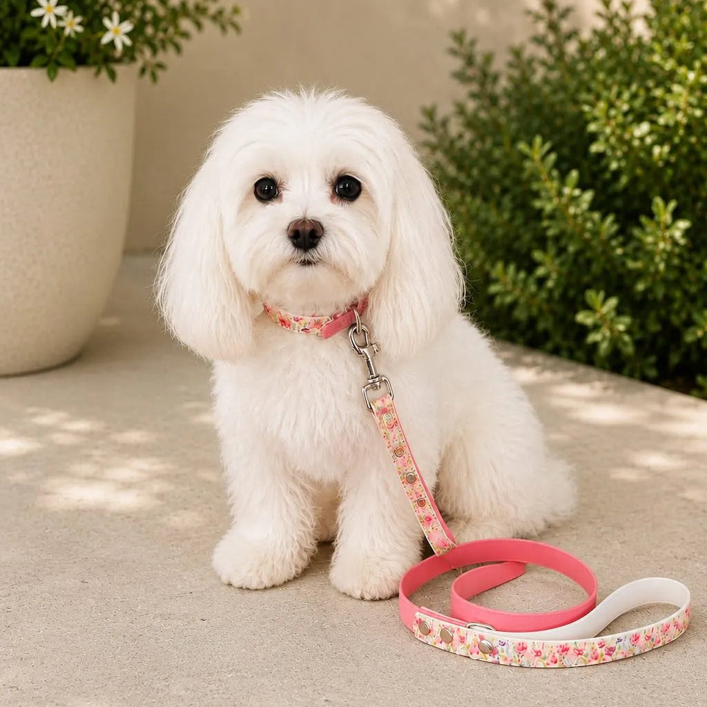 Set Collare e Guinzaglio Fiori Rosa per Cane in BioThane® Impermeabile e Regolabile | DIXY'S (Copia) DixyStore