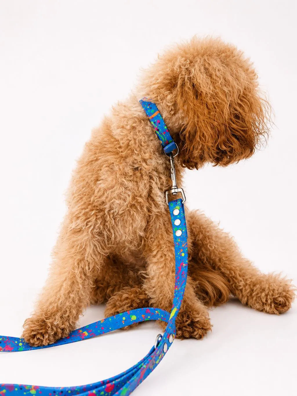 Set Collare e Guinzaglio Blue Splash per Cane in BioThane® Impermeabile e Regolabile DixyStore