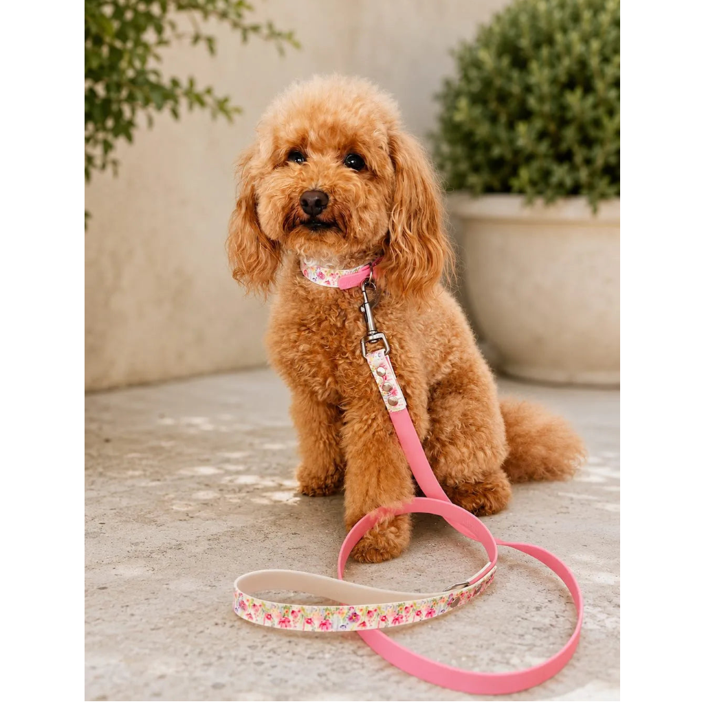Set Collare e Guinzaglio Fiori Rosa per Cane in BioThane® Impermeabile e Regolabile | DIXY'S (Copia) DixyStore