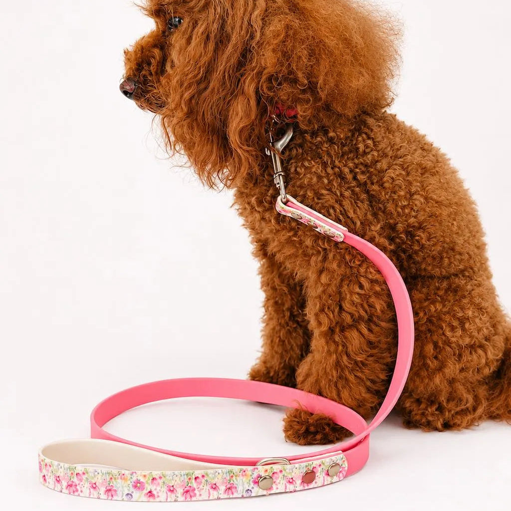 Set Collare e Guinzaglio Fiori Rosa per Cane in BioThane® Impermeabile e Regolabile | DIXY'S (Copia) DixyStore