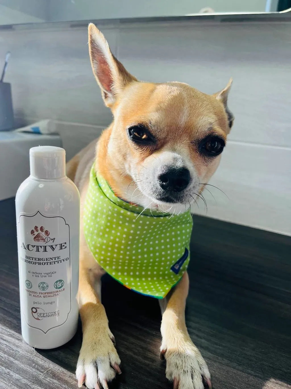 Shampoo Dermoprotettivo per Cani con Carbone Vegetale e Tea Tree Oil | Prodotto Italiano DixyStore