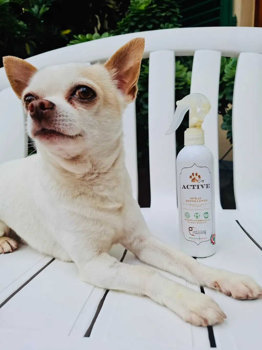 Spray Protettivo per Cane – Supporto contro Insetti e Parassiti con Olio di Neem DixyStore