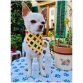 Spray Zampe per Cane – Igiene e Comfort con Tea Tree, Cajeput e Salvia | DIXY'S DixyStore