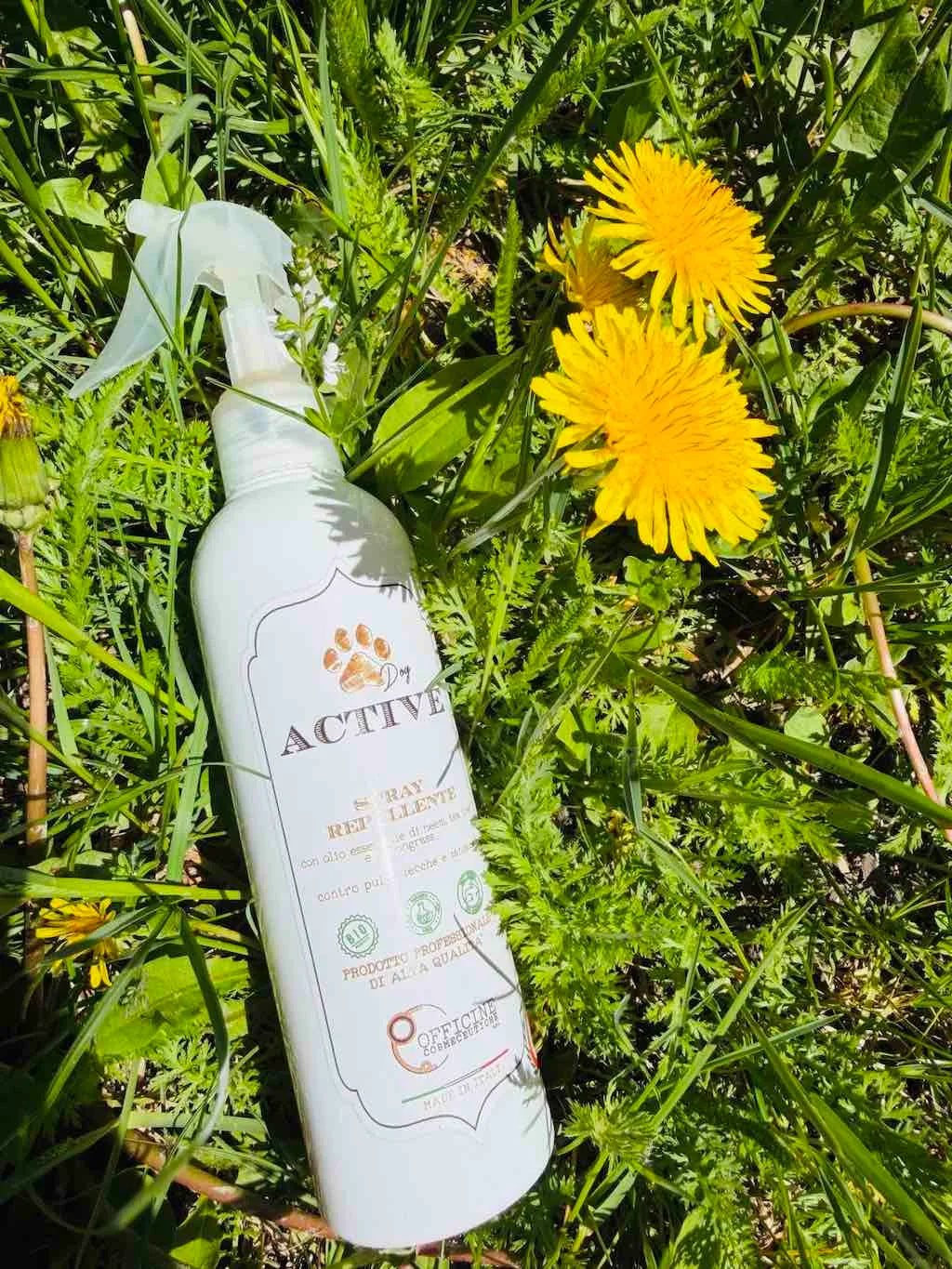 Spray Protettivo per Cane – Supporto contro Insetti e Parassiti con Olio di Neem DixyStore