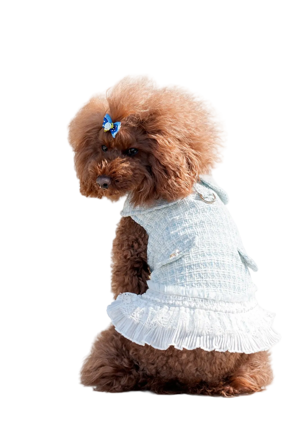 Elegante Vestito Renoir stile Chanel per cani DixyStore