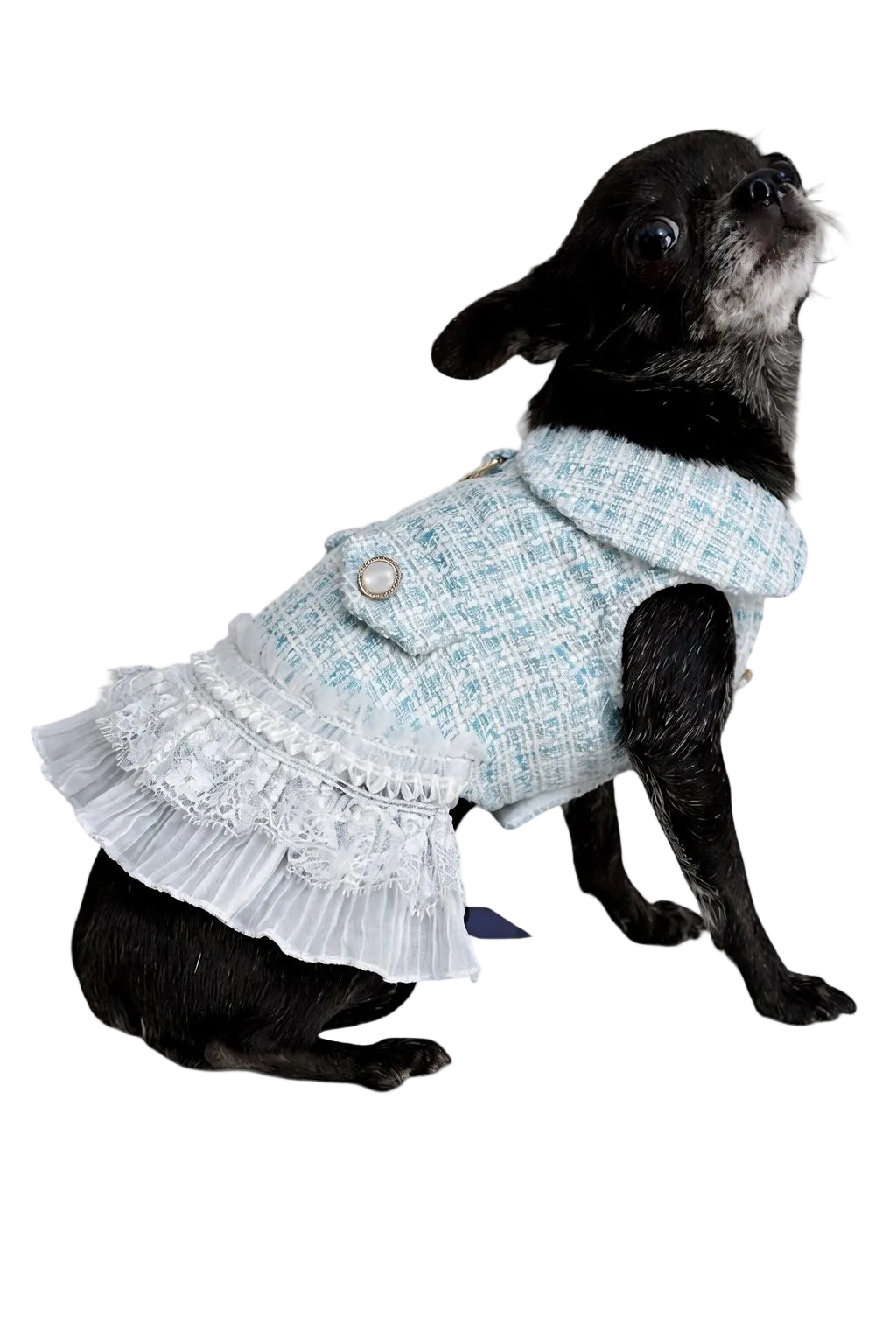 Elegante Vestito Renoir stile Chanel per cani DixyStore