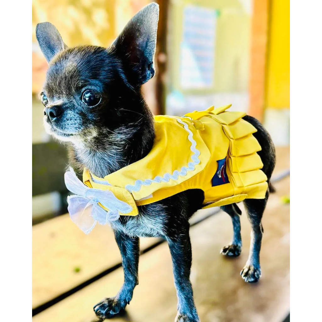 Vestito pettorina per cane stile marinaio | DIXY'S DixyStore