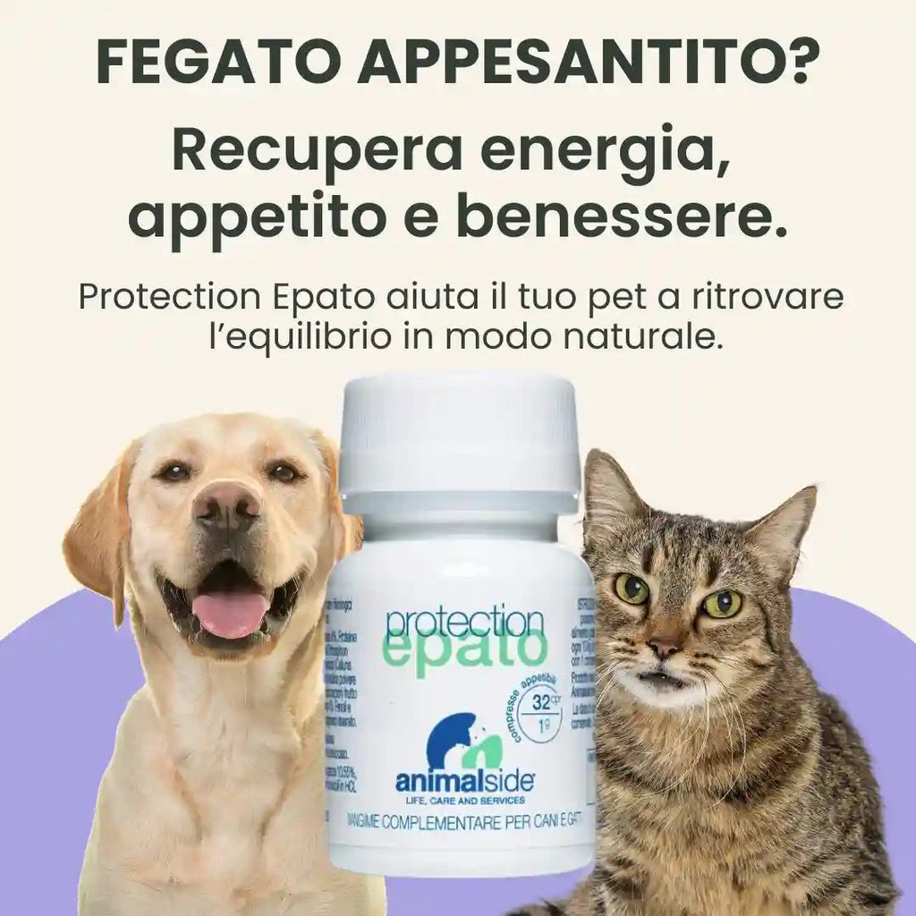 ProtectionEpato — Supporto Epatico per Cani e Gatti | DIXY'S DixyStore