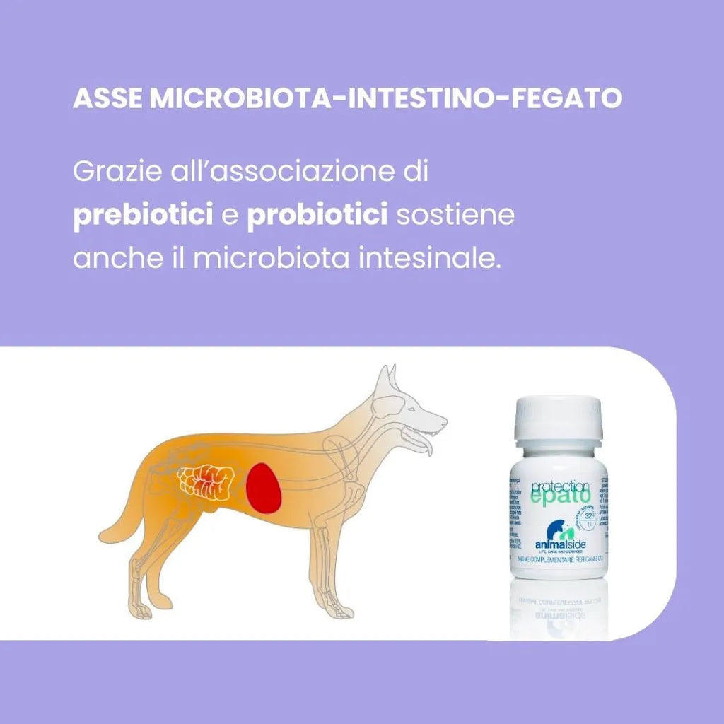 ProtectionEpato — Supporto Epatico per Cani e Gatti | DIXY'S DixyStore