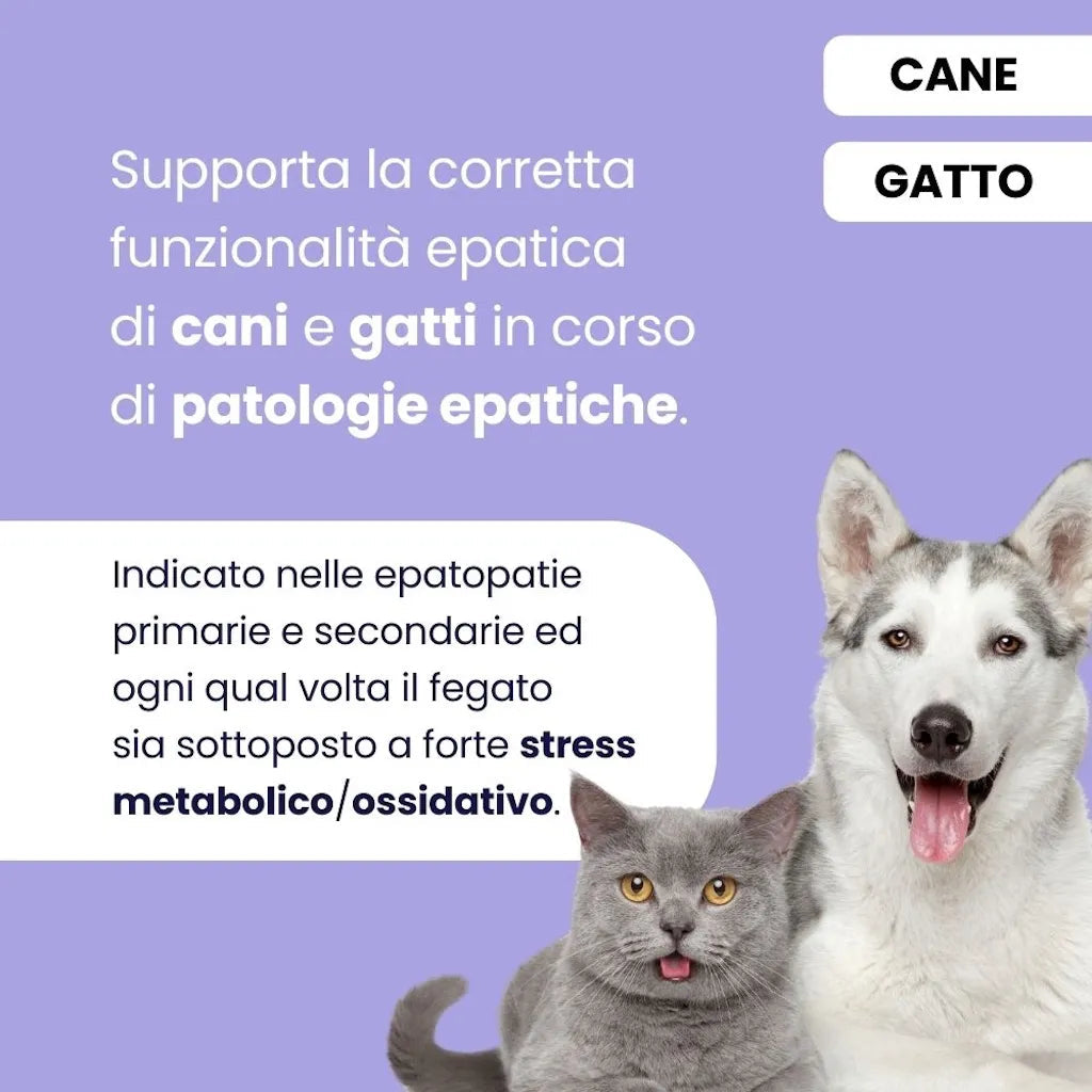 ProtectionEpato — Supporto Epatico per Cani e Gatti | DIXY'S DixyStore