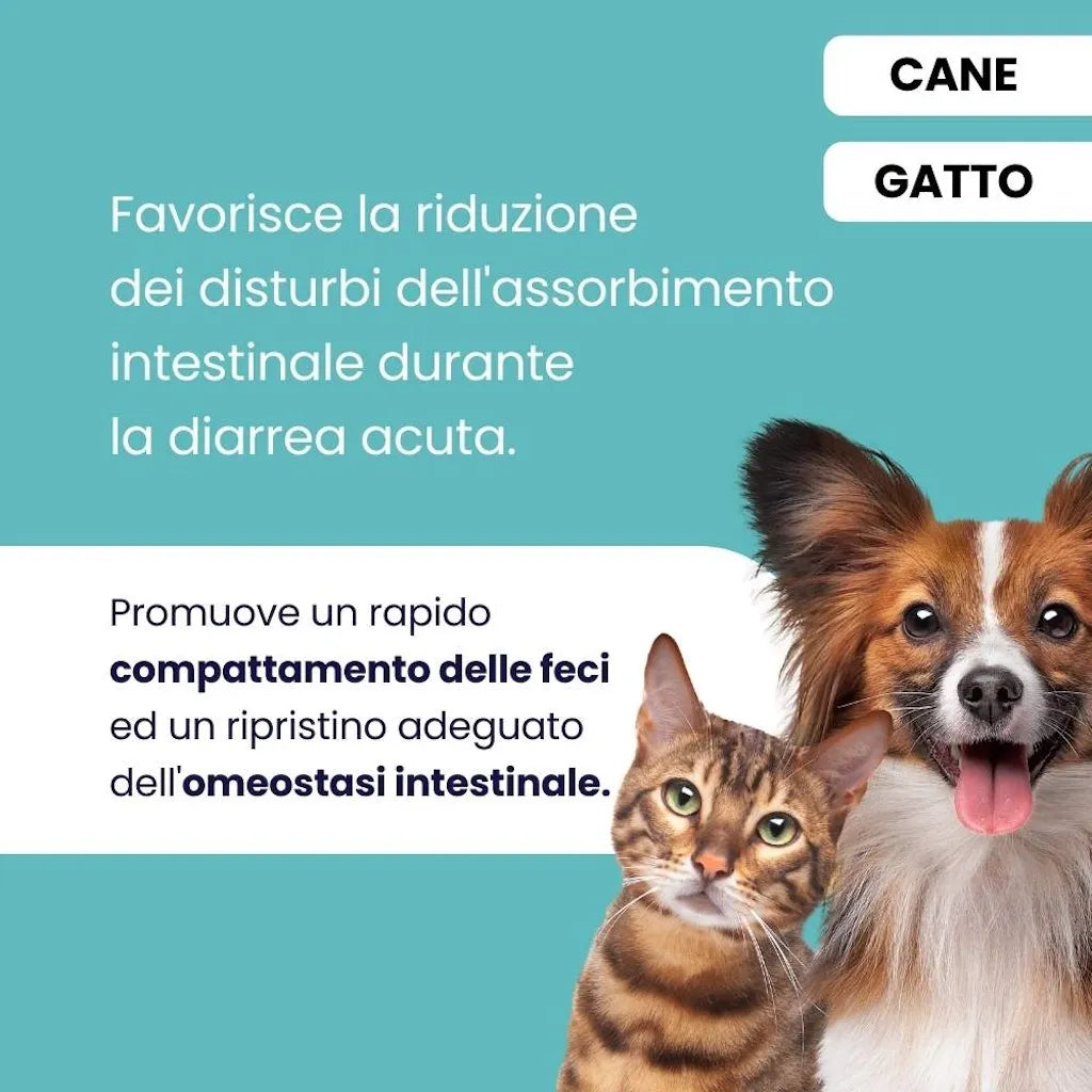 ProtectionGastro — Supporto Digestivo per Cani e Gatti | DIXY'S DixyStore