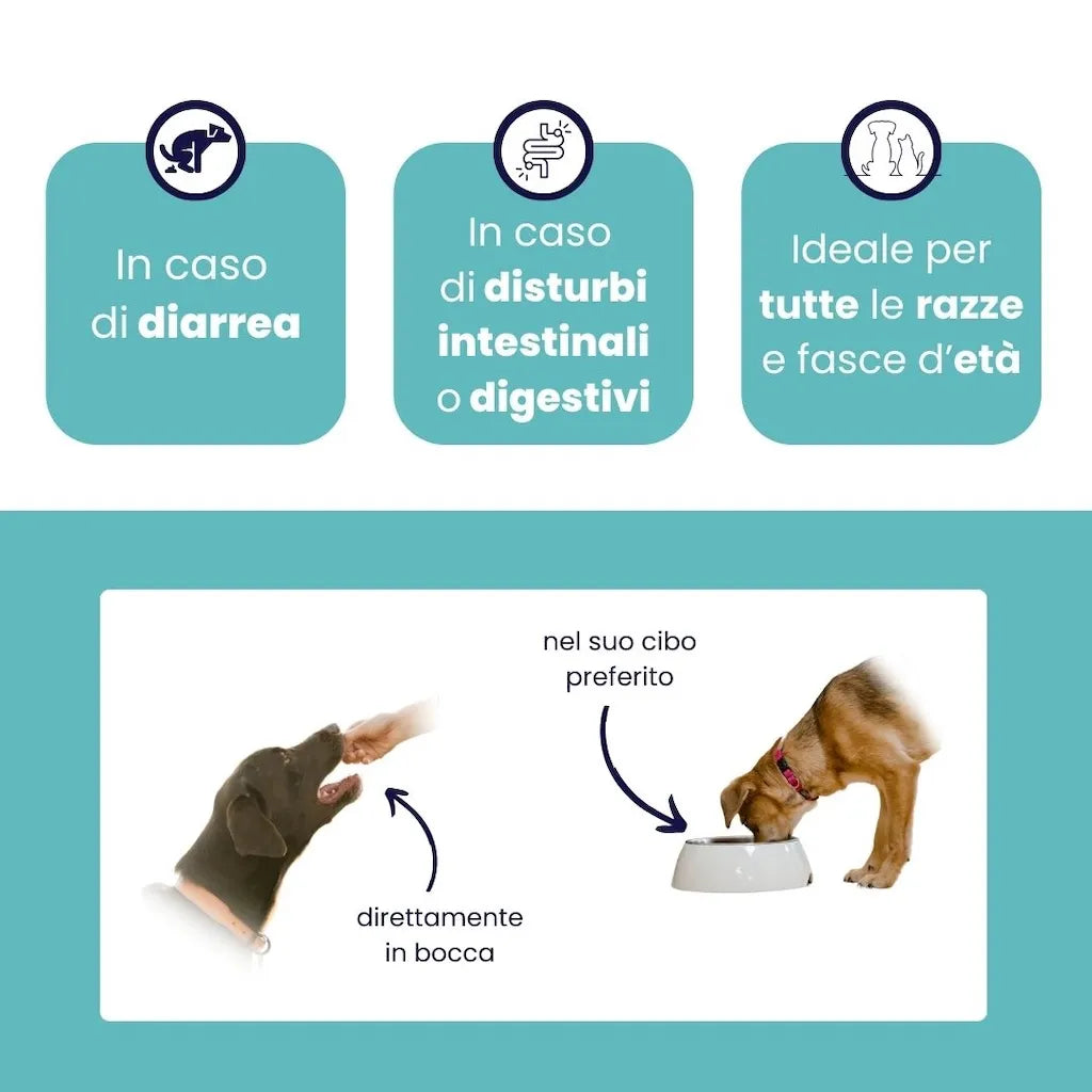 ProtectionGastro — Supporto Digestivo per Cani e Gatti | DIXY'S DixyStore