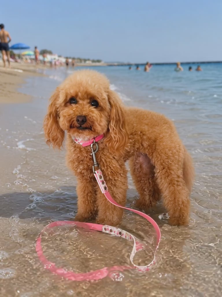 Collar and Lead Set Blosson in Waterproof BioThane® | DIXY'S
