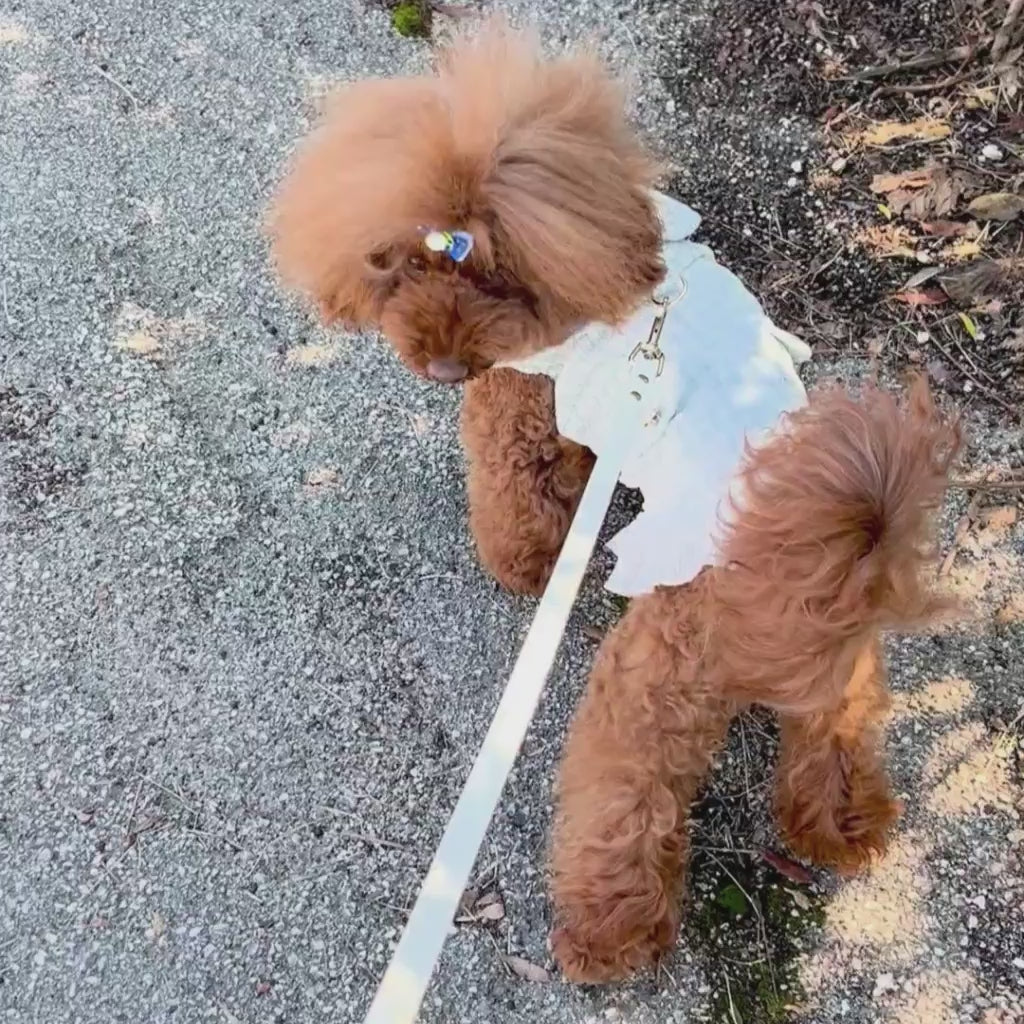 Elegante Vestito Renoir stile Chanel per cani