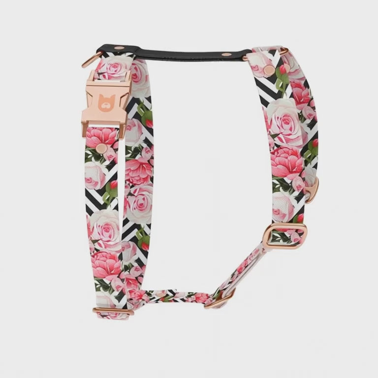 Set Pettorina ad H e Guinzaglio Rose per Cane | DIXY'S