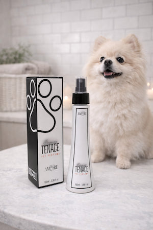 Profumo Tenace per Cane – Freschezza Marina e Note Verdi | Prodotto Italiano DixyStore